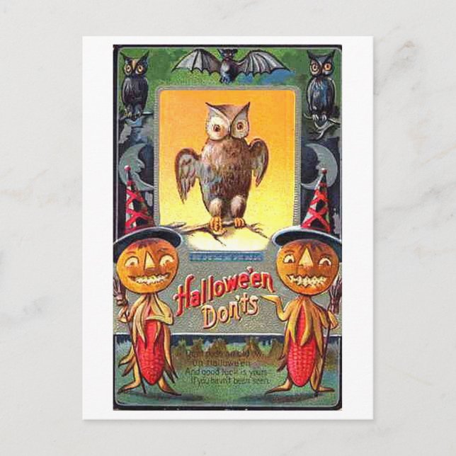 Carte Postale Chouette et Citrouille Corn Halloween Don'ts (Devant)