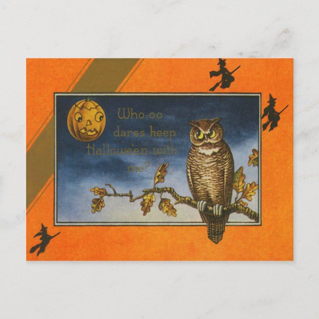 Carte Postale Chouette Jack O Lanterne Citrouille (Devant)