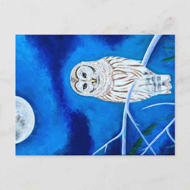 Carte Postale Chouette lune (Devant)