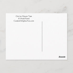 Carte Postale Chouette Mont Tam