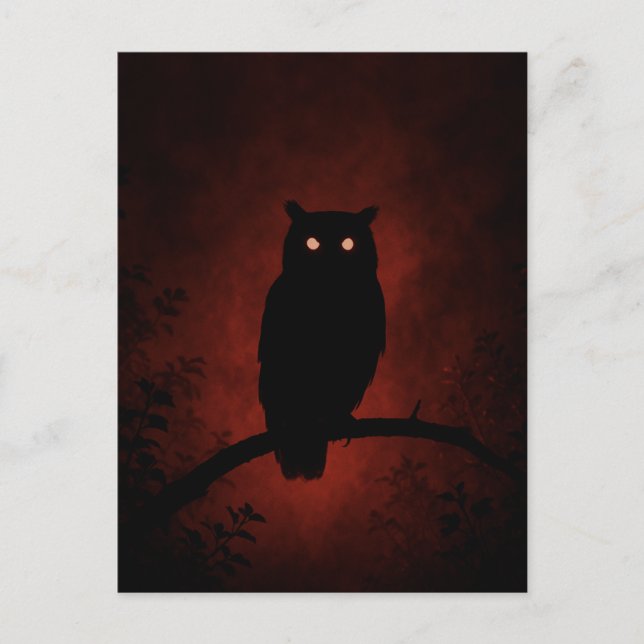Carte Postale Chouette mystérieuse dans la nuit (Devant)