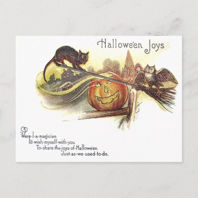 Carte Postale Chouette noire Jack O' Lantern sorch's Broom (Devant)