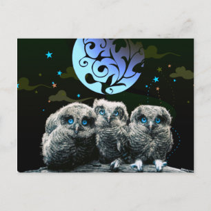 Carte Postale Chouettes Pour Bébés Sous Le Feu De La Lune
