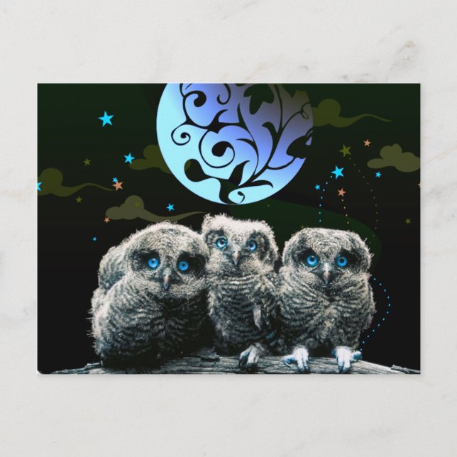 Carte Postale Chouettes Pour Bébés Sous Le Feu De La Lune (Devant)
