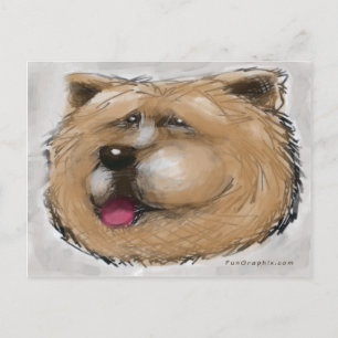 Carte Postale Chow Chow