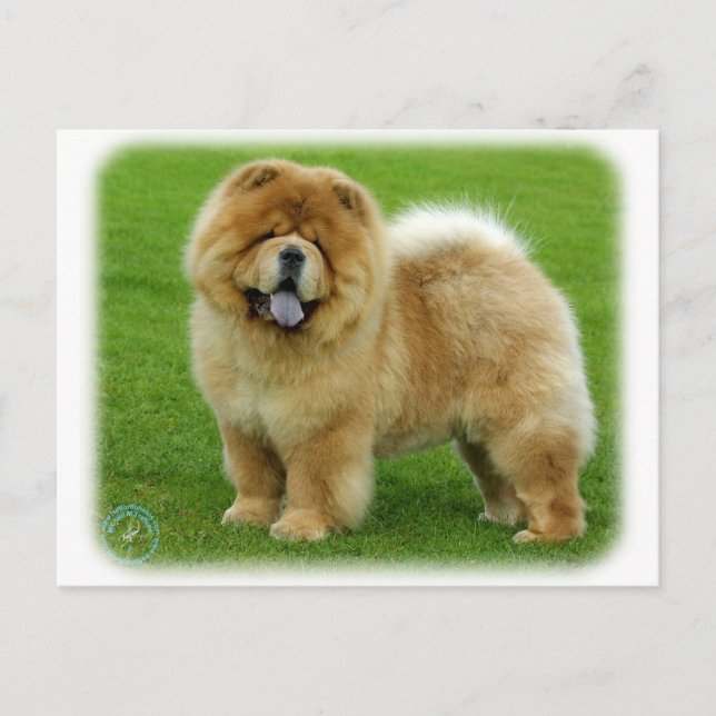 Carte Postale Chow Chow 9B008D-06 (Devant)