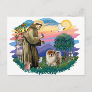Carte Postale Chow Chow (B)