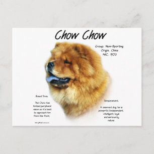 Carte Postale Chow Chow History Design