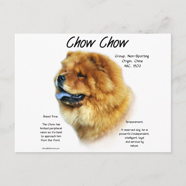 Carte Postale Chow Chow History Design (Devant)