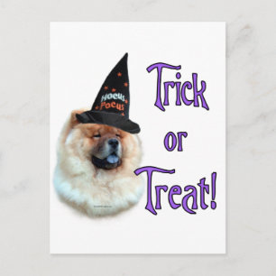 Carte Postale Chow Chow Trick