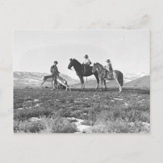 Carte Postale Choyer des antilopes