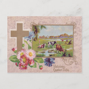 Carte Postale Christian Cross Daisy Cow Pasture