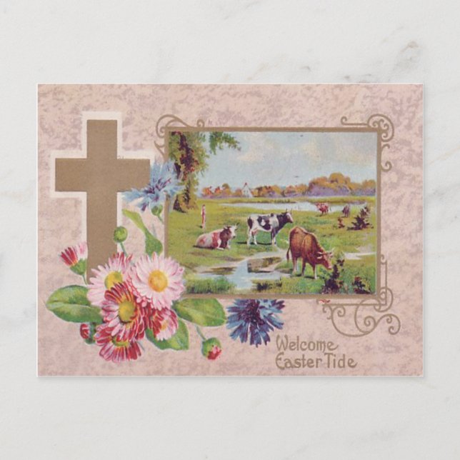 Carte Postale Christian Cross Daisy Cow Pasture (Devant)