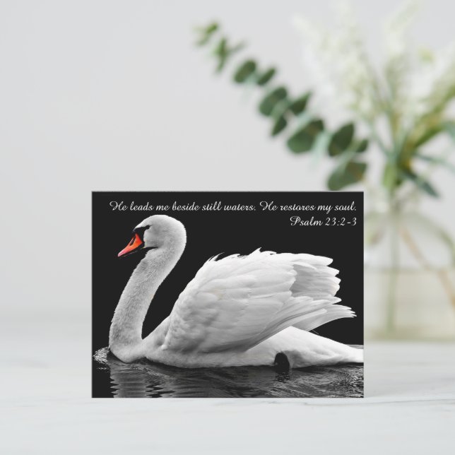 Carte postale Christian Swan (Debout devant)