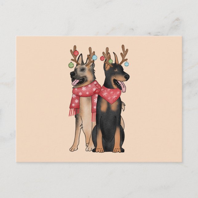Carte Postale Christmas Doberham German Shepherd (Devant)