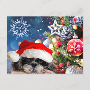 Carte postale Christmas Père Noël Shih Tzu