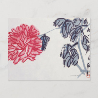 Carte Postale Chrysanthème