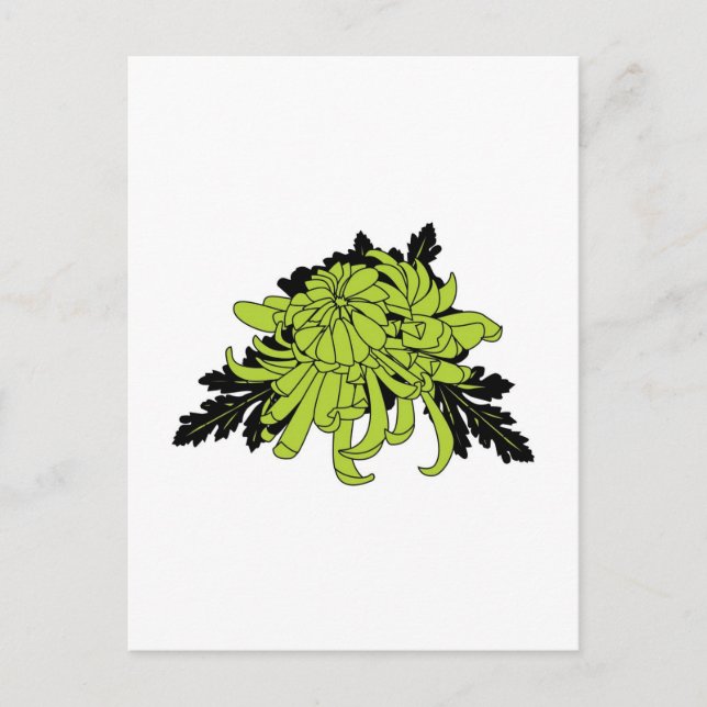 Carte Postale Chrysanthème (Devant)