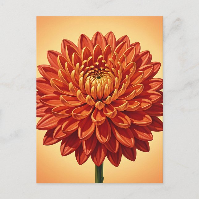 Carte Postale Chrysanthème botanique rouge orange vibrant  (Devant)