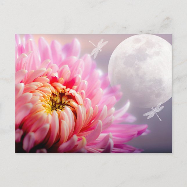 Carte Postale Chrysanthème et Lune (Devant)