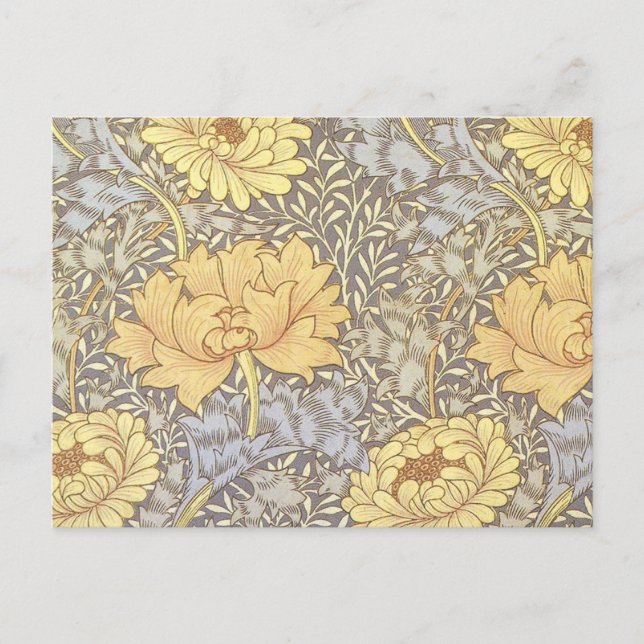 Carte Postale Chrysanthème Fleurs de Mère en Fleur de William Mo (Devant)