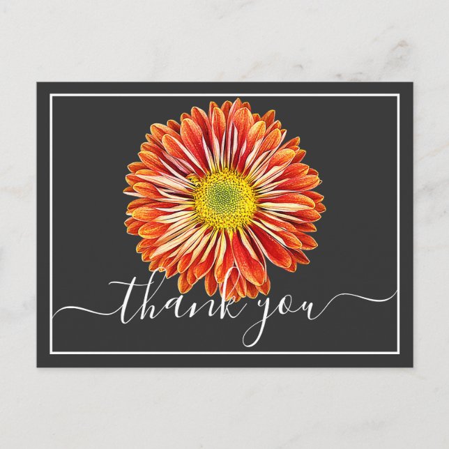 Carte Postale Chrysanthème orange fond gris Merci (Devant)