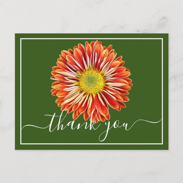 Carte Postale Chrysanthème orange sur fond vert Merci (Devant)