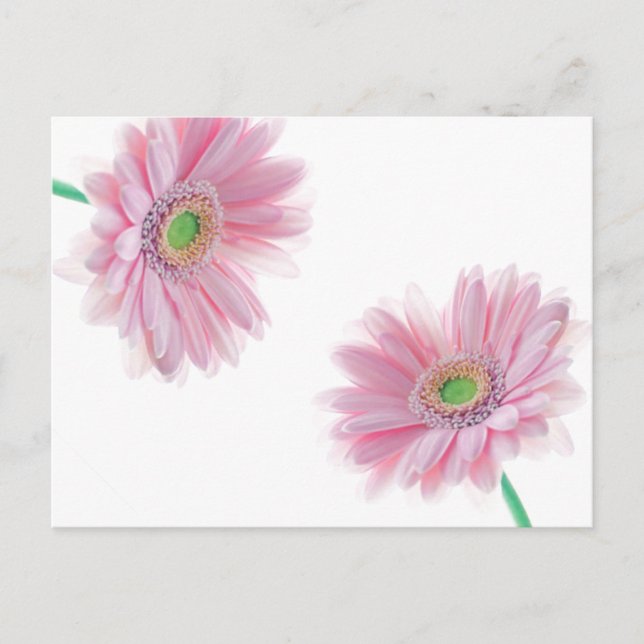 Carte postale CHRYSANTHÈME rose (Devant)