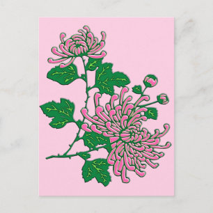 Carte Postale Chrysanthèmes d'araignée chinois - rose doux
