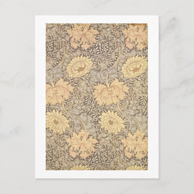 Carte Postale 'Chrysanthemum', 1876 (Devant)