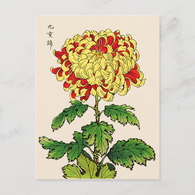 Carte Postale Chrysanthemum japonais vintage. Mustard Yellow (Devant)