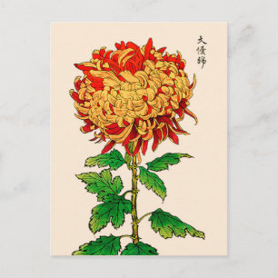 Carte Postale Chrysanthemum japonais vintage. Or et orange