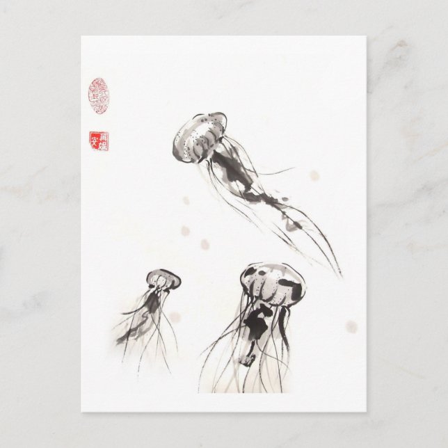 Carte postale Chrysaora Jellyfish (Devant)