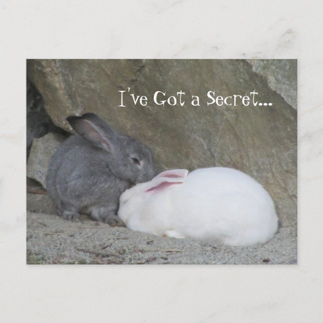Carte Postale Chuchoteur de lapins (Devant)