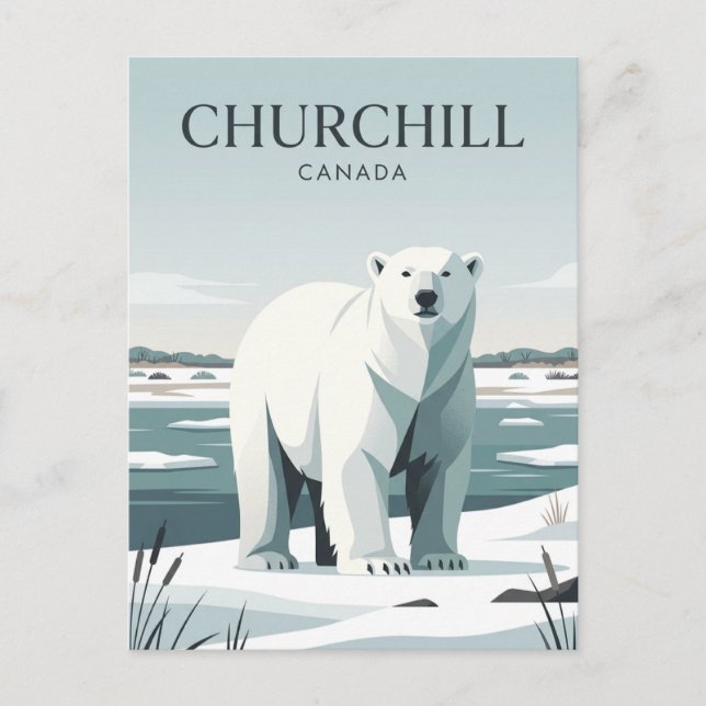 Carte Postale Churchill Canada (Devant)