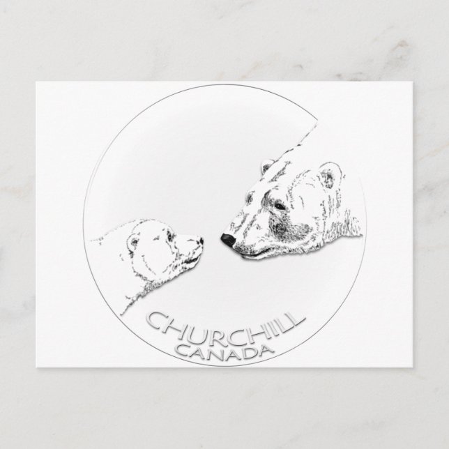Carte Postale Churchill Souvenirs Ours Polaire Chemises & Cadeau (Devant)