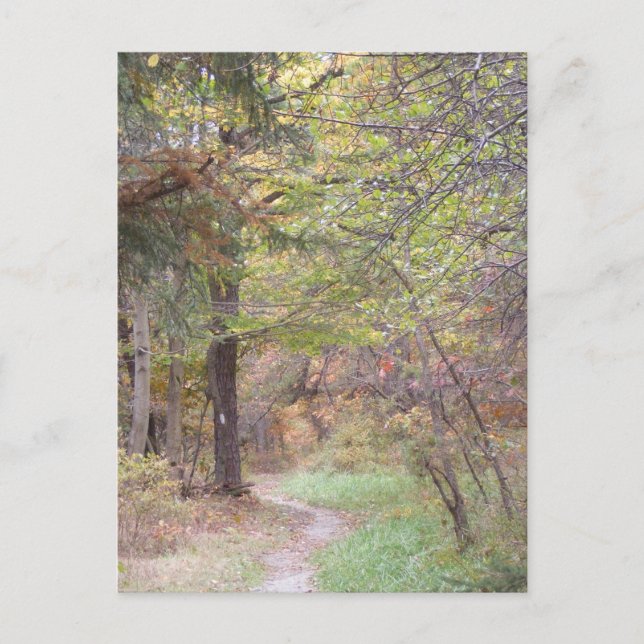 Carte Postale chute appalachienne Pennsylvanie de traînée (Devant)