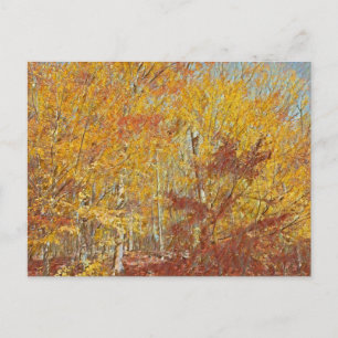 Carte Postale Chute aquarelle