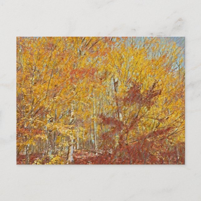 Carte Postale Chute aquarelle (Devant)