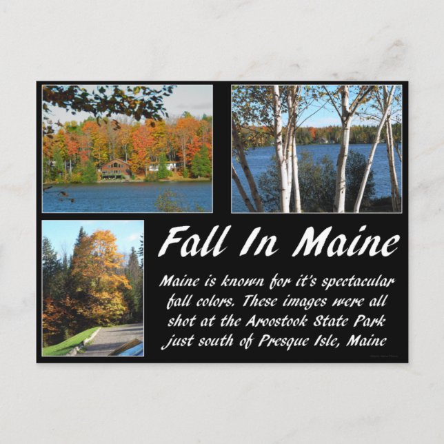 Carte Postale Chute Dans Le Maine (Devant)
