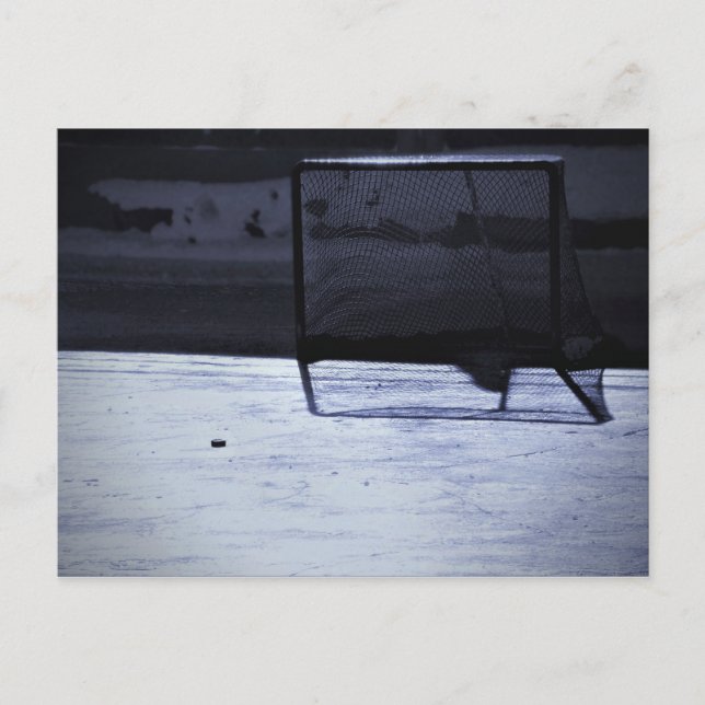 Carte Postale Chute de hockey sur glace hivernale vide Net (Devant)