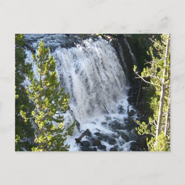 Carte Postale Chute d'eau de Yellowstone (Devant)