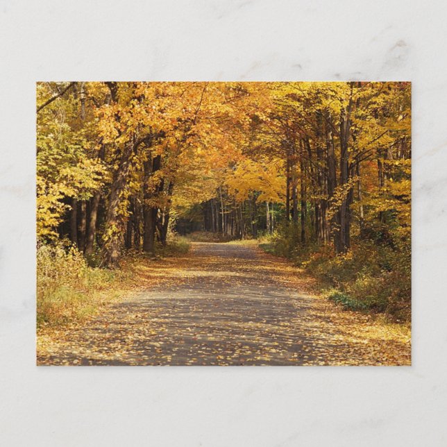 Carte Postale Chute des Feuilles | Automne Accueil Cadeaux (Devant)