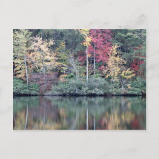 Carte Postale Chute en Oneida, TN