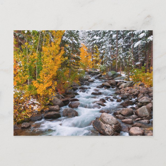 Carte Postale Chute le long du ruisseau Bishop, Californie (Devant)