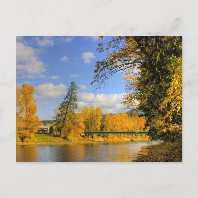 Carte Postale Chute sur la bouilloire (Devant)