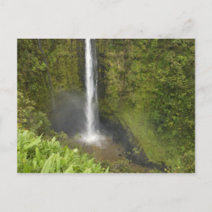 Carte Postale Chutes Akaka, côte Hamakua, île d'Hawaï,
