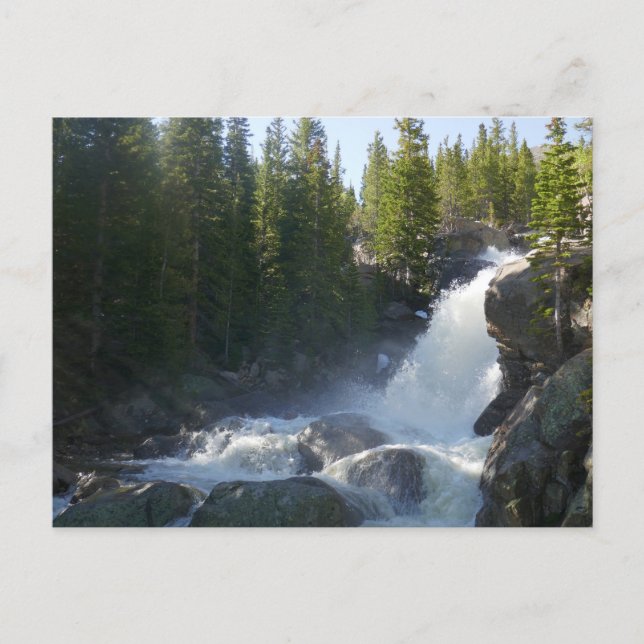 Carte Postale Chutes Alberta II (Devant)