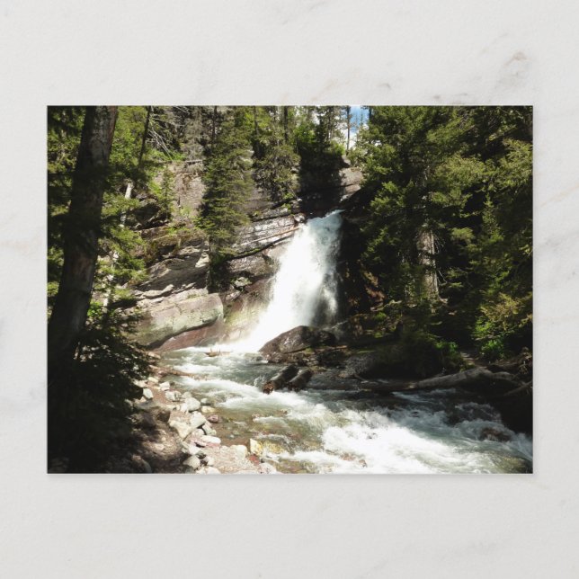 Carte Postale Chutes Baring dans le parc national de Glacier (Devant)