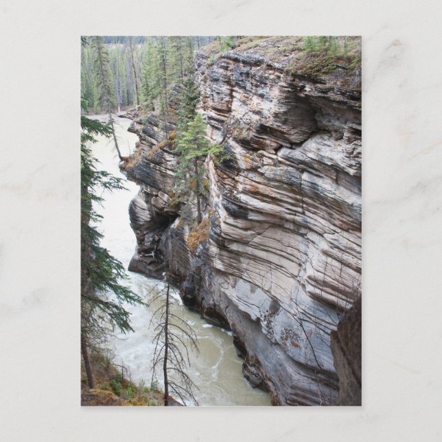 Carte Postale Chutes d'Athabasca (Devant)